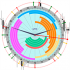 MT5-News Clock