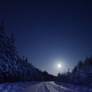 MT4-Night