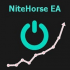 MT4-NiteHorse EA