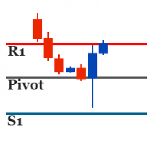 MT4-Pivot SR