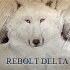 MT4-ReboltDelta MT4-ReboltDelta