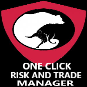MT5-Risk And Trade Manager Demo MT5