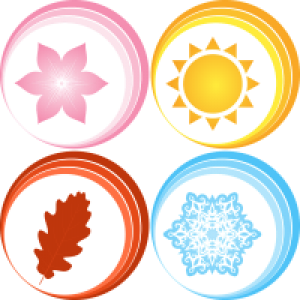 MT4-Seasonality MT4
