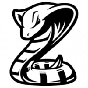 MT4-Snake game upgrade
