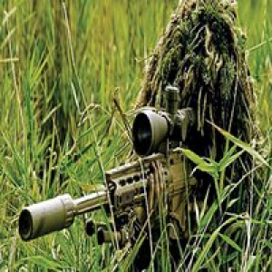 MT4-Trend Sniping