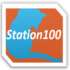 MT4-Station100