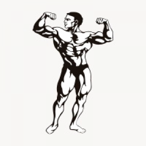 MT4-Steel Muscles