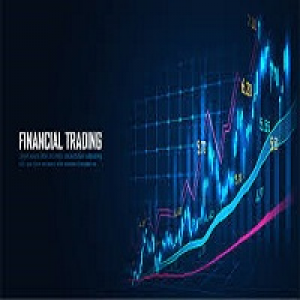 MT4-The fx runner
