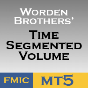 MT5-Time Segmented Volume for MT5