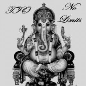 MT4-TIO No Limits
