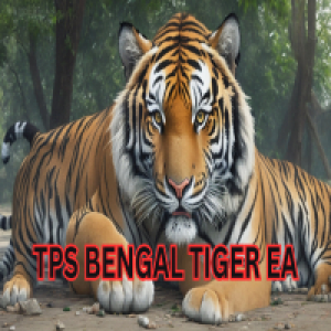 MT4-TPS Bengal Tiger