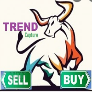 MT4-Trend Capture