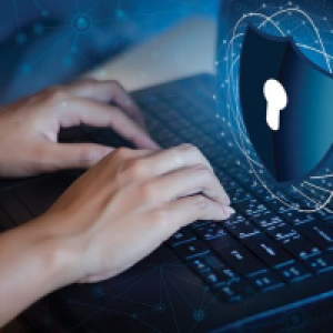 MT4-Trend Privacy