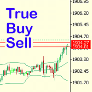 MT5-True Sell Buy