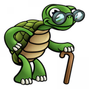 MT4-Turtle fast movement