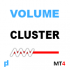 MT4-UPD1 Volume Cluster