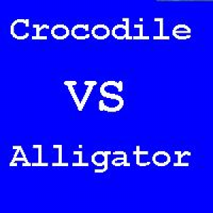 MT4-VACrocodile