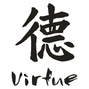 MT4-VirtueMultiLot