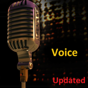 MT4-Voice