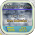 MT5-Volume Levels MT5 Free