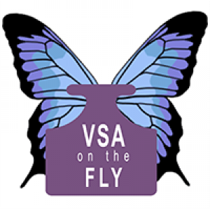 MT4-VSA on the Fly MT4