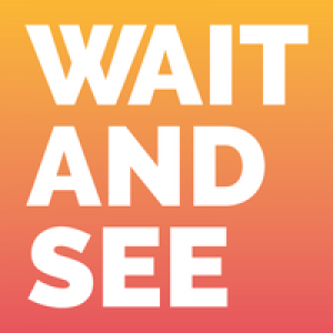 MT4-Wait and See