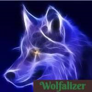 MT5-Wolfalizer